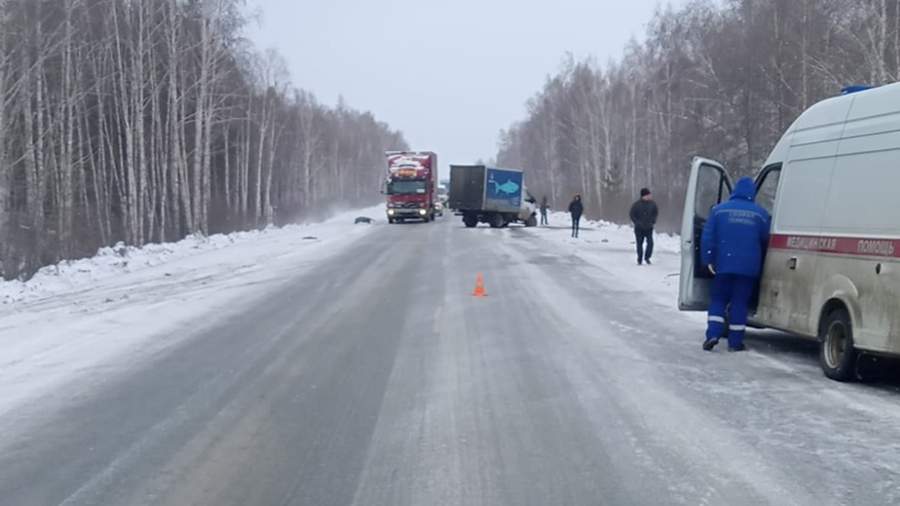 В Челябинской области женщина погибла в ДТП с минивэном