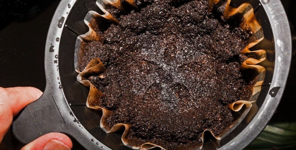 Почему не стоит выкидывать кофейную гущу. 6 полезных в быту идей