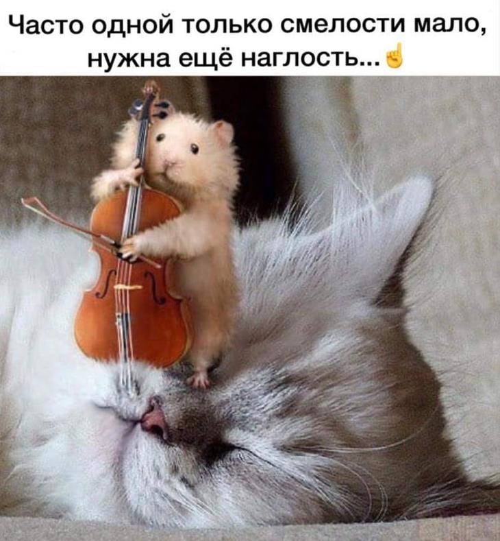 Чтоб посмеяться от души: подборка юмора и всяких забавностей Чтоб посмеяться от души: подборка юмора и всяких забавностей