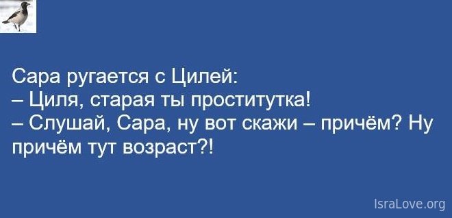 Хочу уже оливье и бухать шампанское! анекдоты