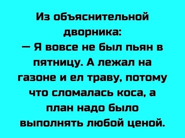 Кто-нибудь знает как определить, что сыр с плесенью испортился? анекдоты