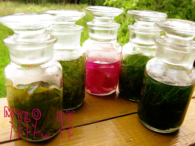 Масляные мацераты своими руками