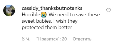 (Ужасно. Нам нужно спасти этих славных малышей. Я надеюсь, они защитят их лучше.