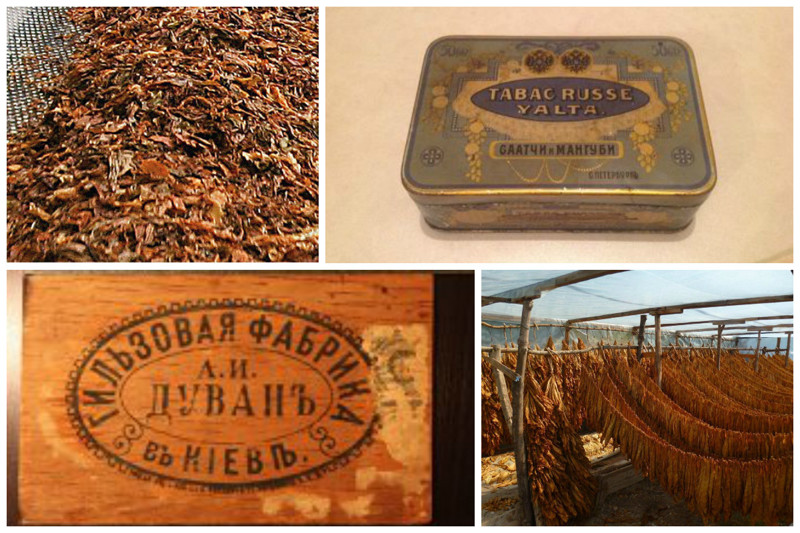 Дела шли так успешно, что в начале ХХ века караимы контролировали 2/3 всей табачной промышленности России. богатство, интересное, история, караимы, табак