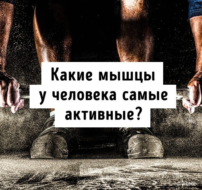 Тест на эрудицию: 13 вопросов, которые покажут, не пора ли вам обратно в школу