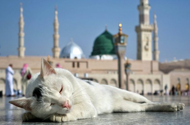10 удивительных запретов, принятых в Саудовской Аравии