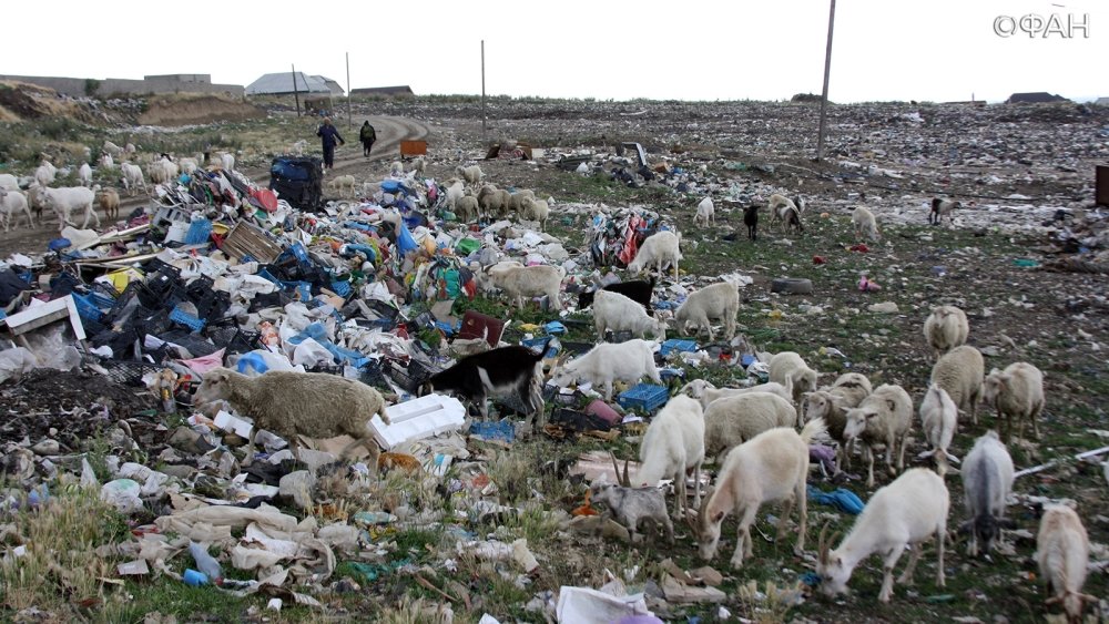 Замглавы Хасавюрта: Времена, когда город был завален мусором, давно прошли