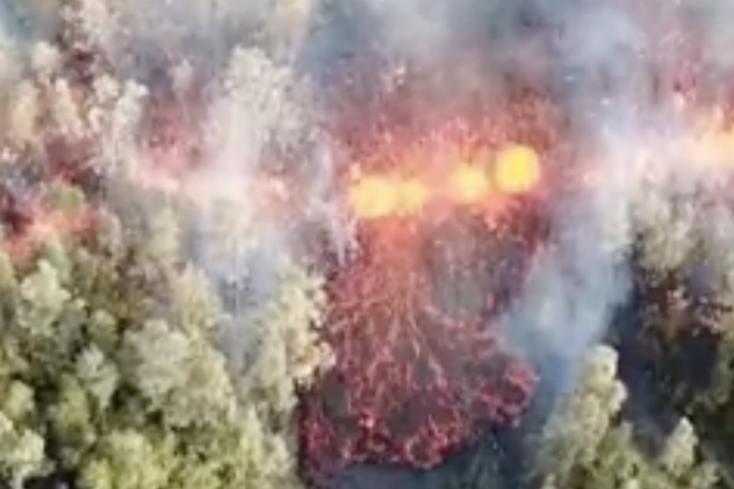 Огненная река движется сквозь лес: на Гавайях объявлено чрезвычайное положение