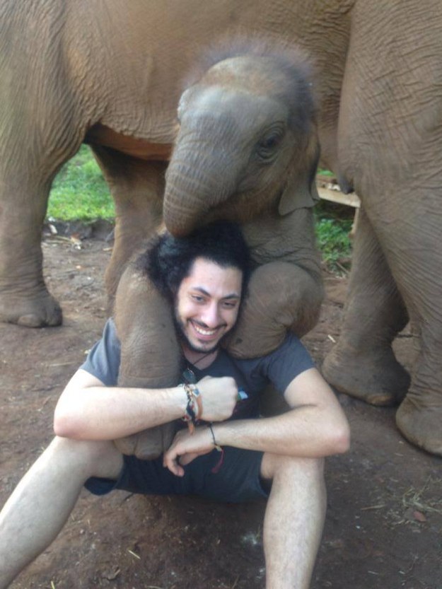 And this baby elephant who just made a new best friend.