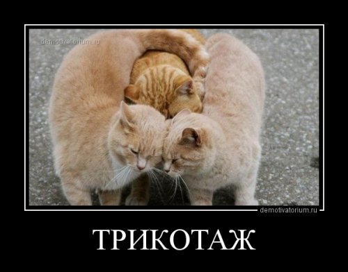 Новые демотиваторы для хорошего настроения (14 шт)