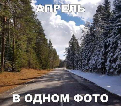 Новые прикольные фотомемы (26 шт)