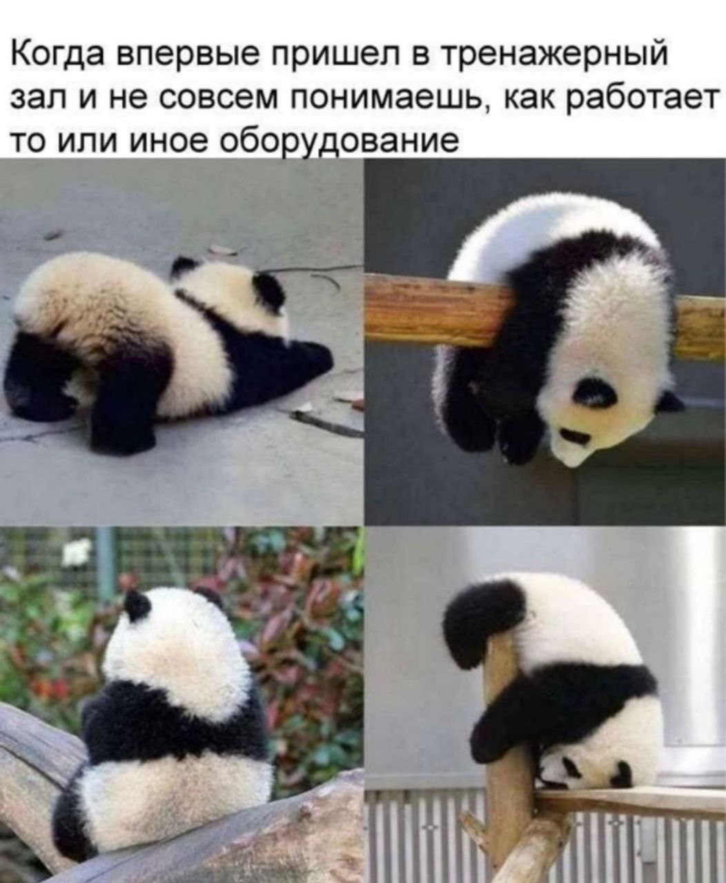 19 свежих картинок с надписями 