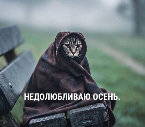 Новые прикольные картинки и фото Новые прикольные картинки и фото