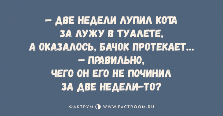 Десятка классных анекдотов, способных рассмешить кого угодно