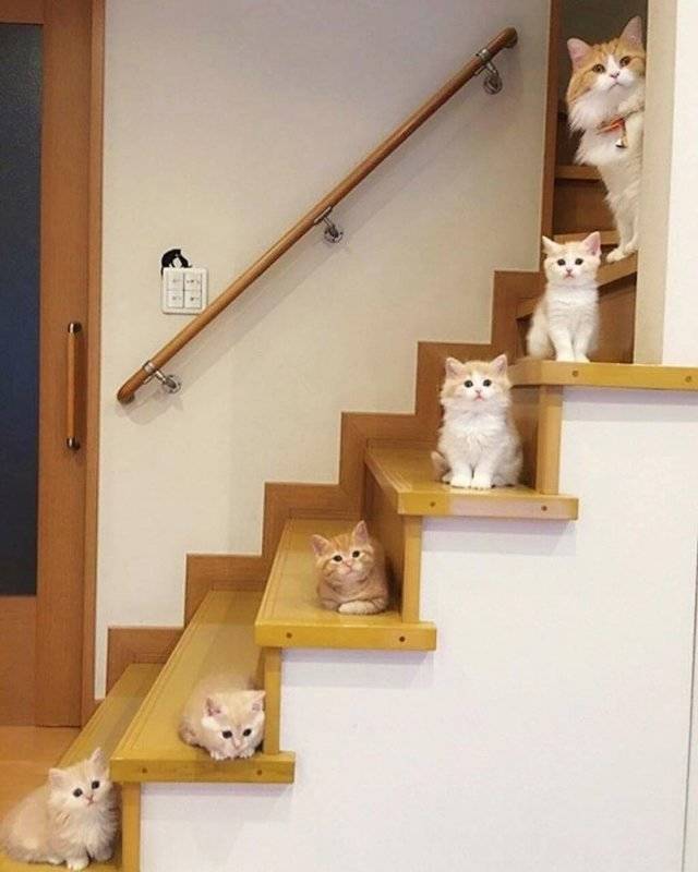 Странное, необычное и смешное... девушки