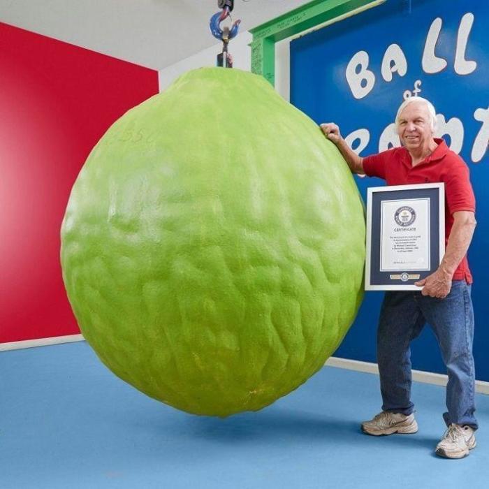 Майкл Кармайкл и его жена Гленда в течение 34 лет ежедневно наносили по 2 слоя краски на бейсбольный шарик, который на данный момент весит 1587 кг и составляет 57 см в диаметре.