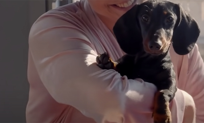 Собаку взяли из приюта и ночами она стала будить хозяйку. Женщина поставила камеру и поняла, что в доме живет посторонний Культура