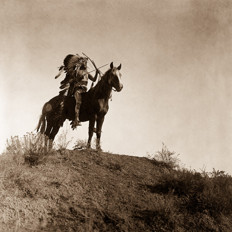 Это интересно: Индейцы Дикого Запада: 12 удивительнейших фото 