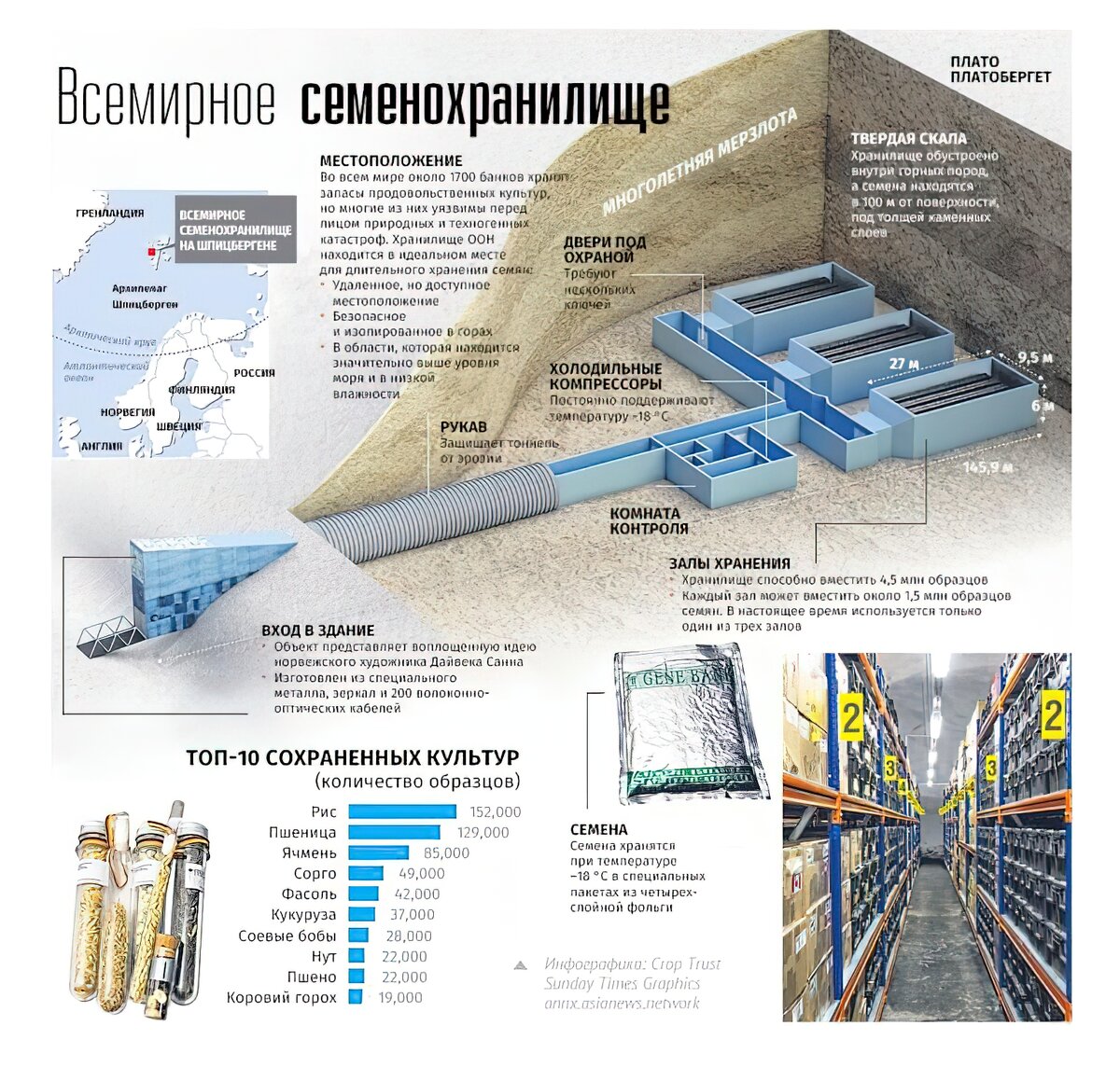 Итоговая инфографика