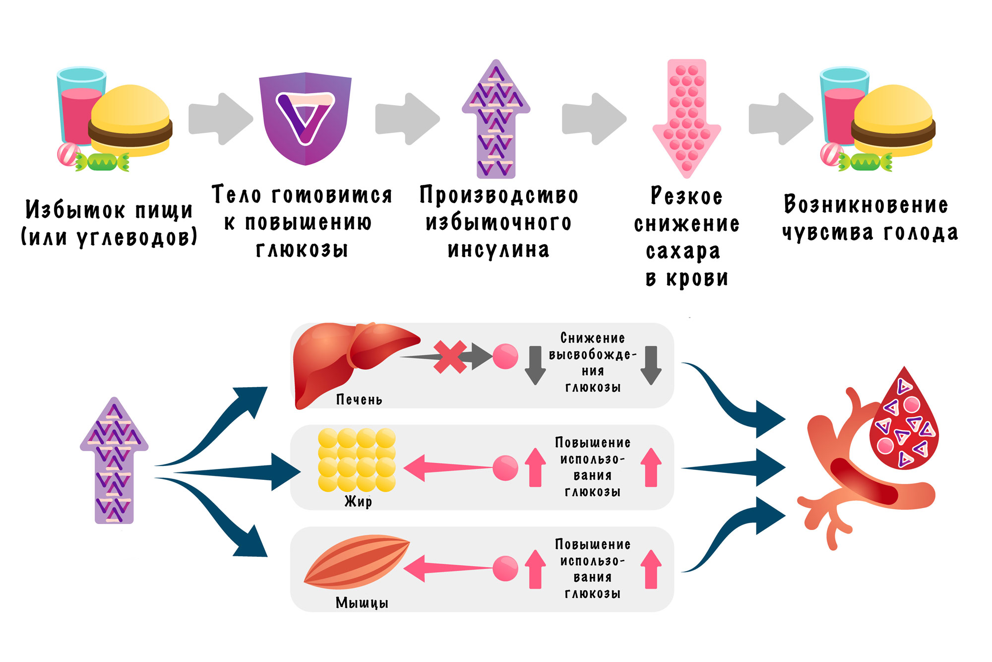 Гипогликемия — почему возникает?