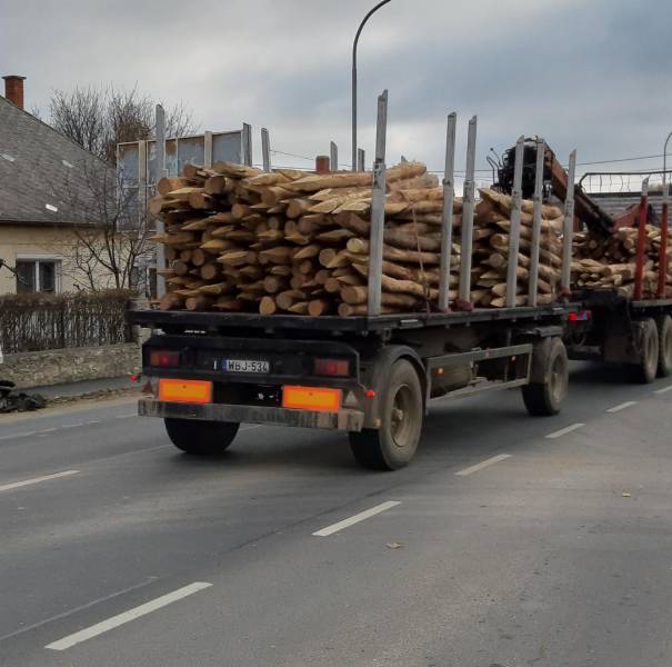 Подборка прикольных картинок приколы,смешные картинки,юмор