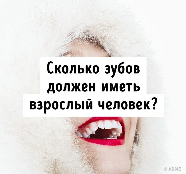 Тест на эрудицию: 13 вопросов, которые покажут, не пора ли вам обратно в школу