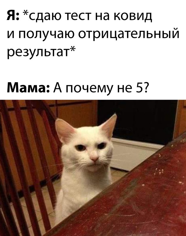 Подборка картинок. Вечерний выпуск  приколы,смешные картинки,юмор