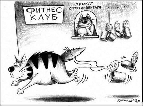 Юмор из интернета 640 позитив,смех,улыбки,юмор