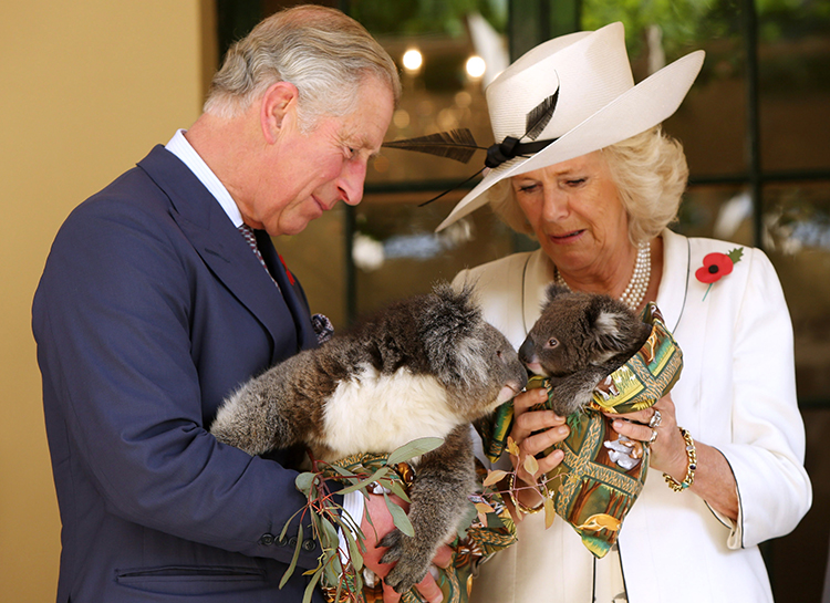 Принц Чарльз и Камилла Паркер-Боулз отметили 15-ю свадебную годовщину: новое фото Принц Чарльз и Камилла Паркер-Боулз отметили 15-ю свадебную годовщину: новое фото Монархи,Британские монархи