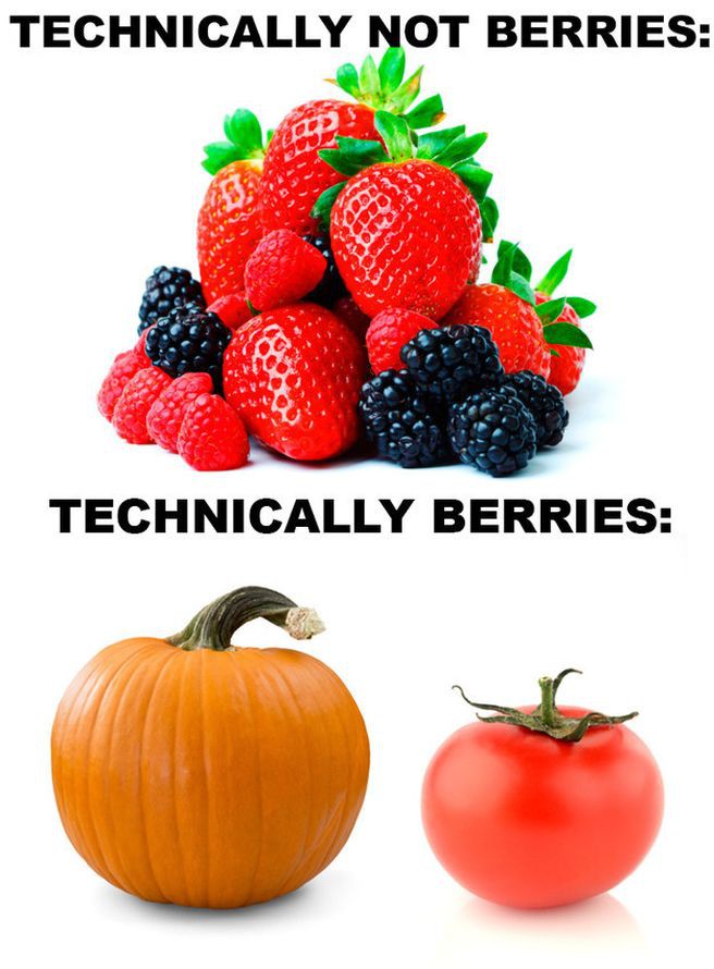 4. Некоторые фрукты — это ягоды, а некоторые ягоды — фрукты. здоровье, интересно, факты