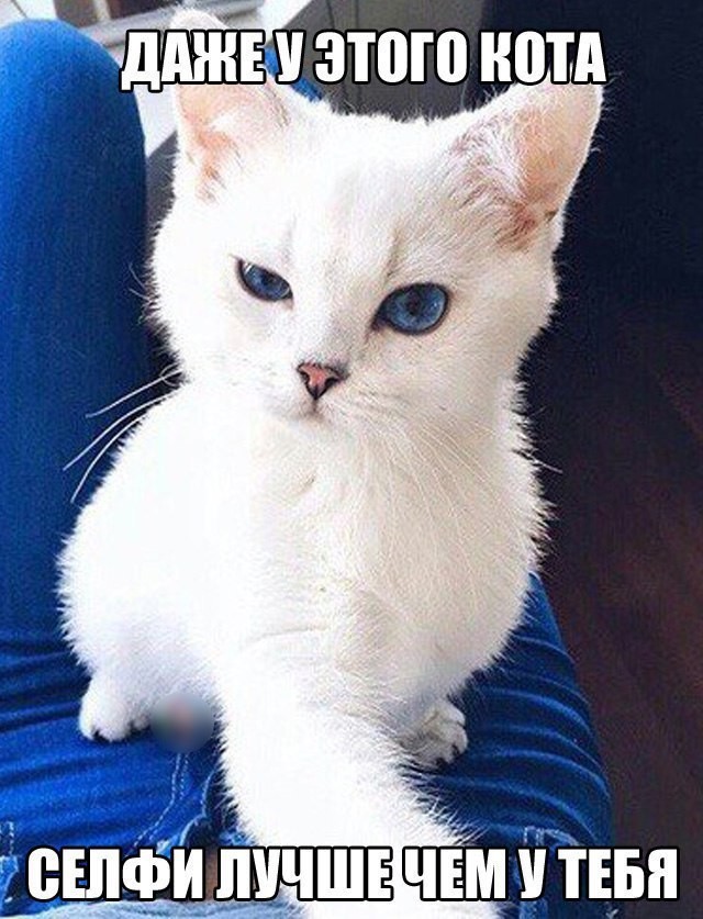 Смешные картинки с надписями прикол, юмор