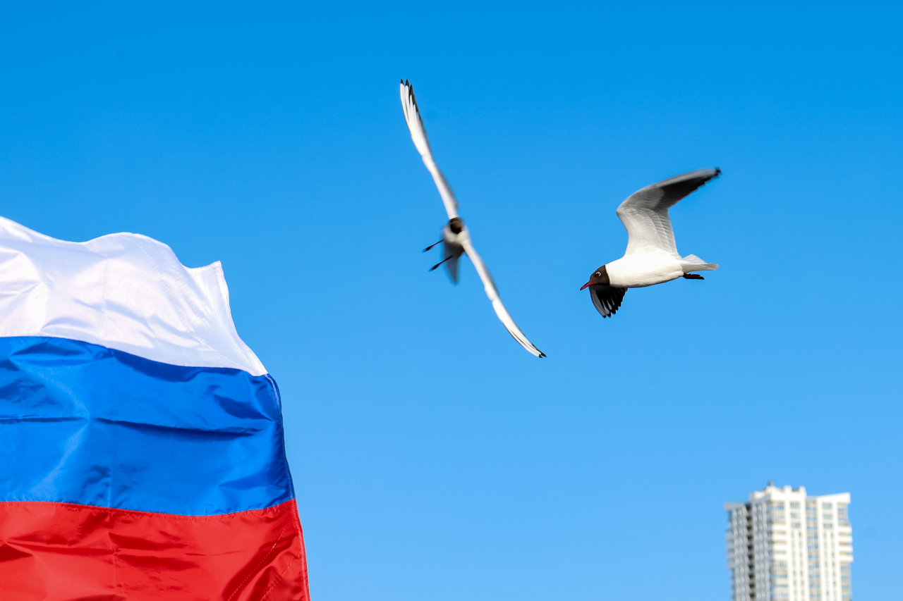 В Марселе разбираются с французскими летчиками, нарисовавшими в небе флаг России