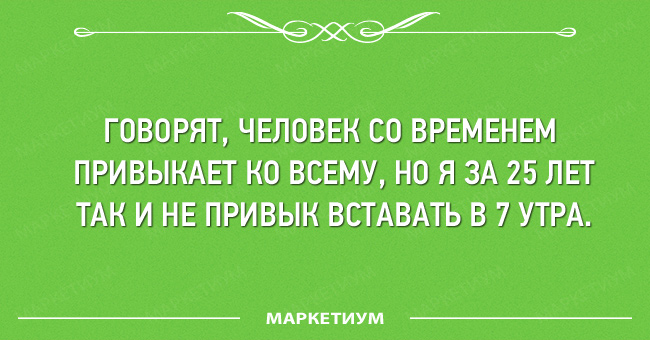 Выпившей самке богомола даже некому позвонить анекдоты