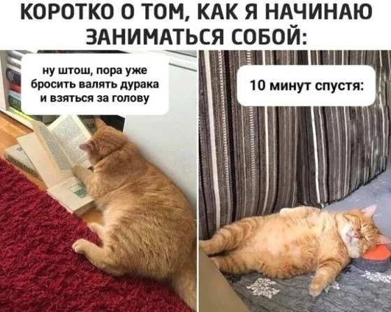 Устал от скуки? У нас есть решение!