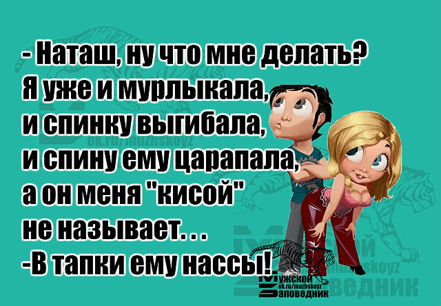 Бывает, смотришь в глаза собаки и думаешь:  - Ну как человек!... весёлые, прикольные и забавные фотки и картинки, а так же анекдоты и приятное общение