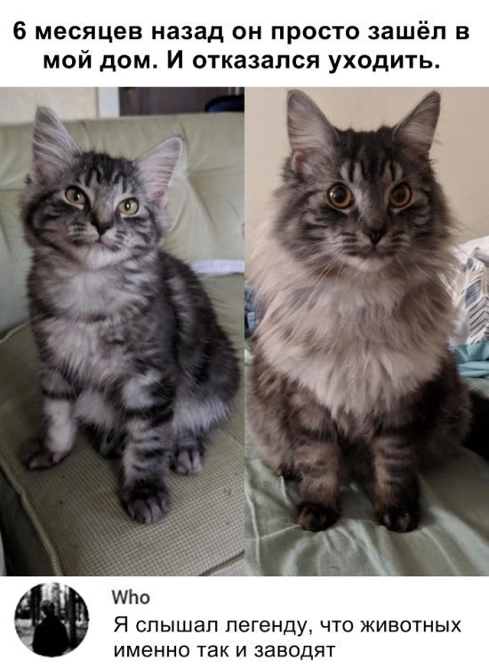 Подборка прикольных фото Подборка прикольных фото смешные картинки