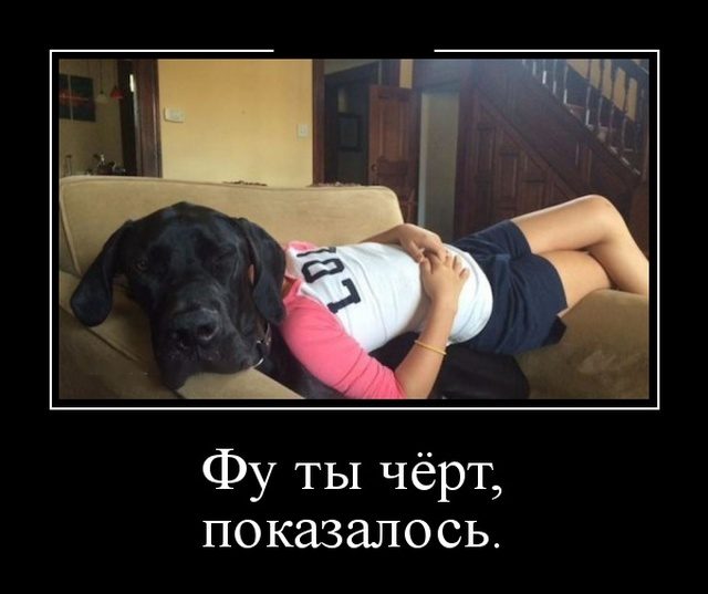 Самые улётные демотиваторы дня 