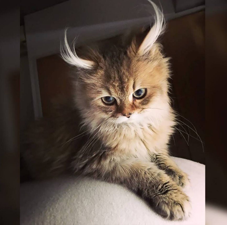 Классные и завораживающие фотографии из нашей жизни Классные и завораживающие фотографии из нашей жизни смешные картинки,угарные фотки,фото приколы