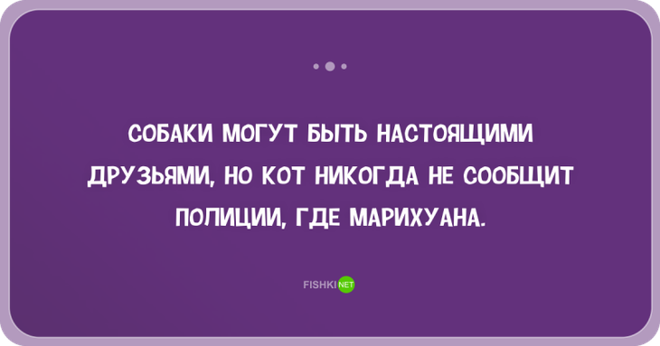 30 жизненных открыток-адреналинок. Чтоб жизнь заиграла новыми красками 