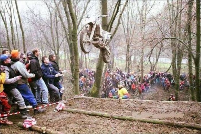 Прикольные картинки картинки из сети, прикол, юмор