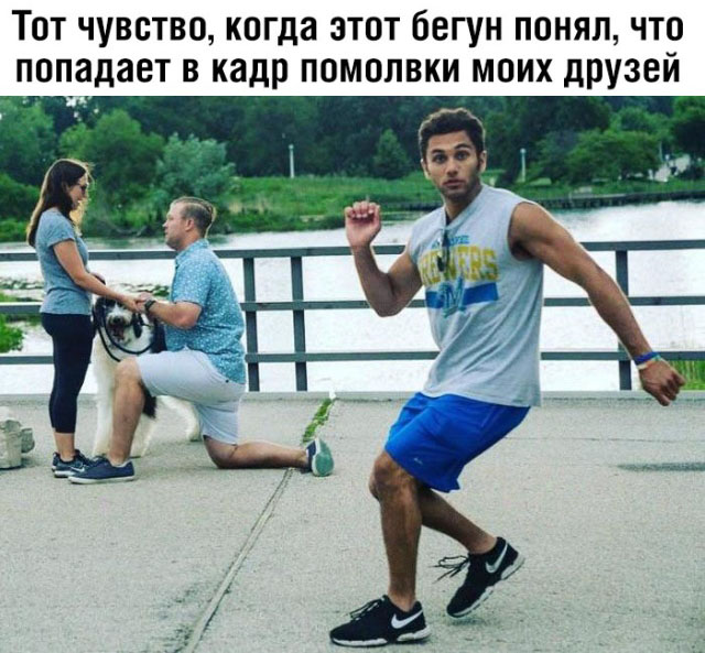 Подборка смешных картинок Подборка смешных картинок позитив,приколы,смешные картинки,юмор
