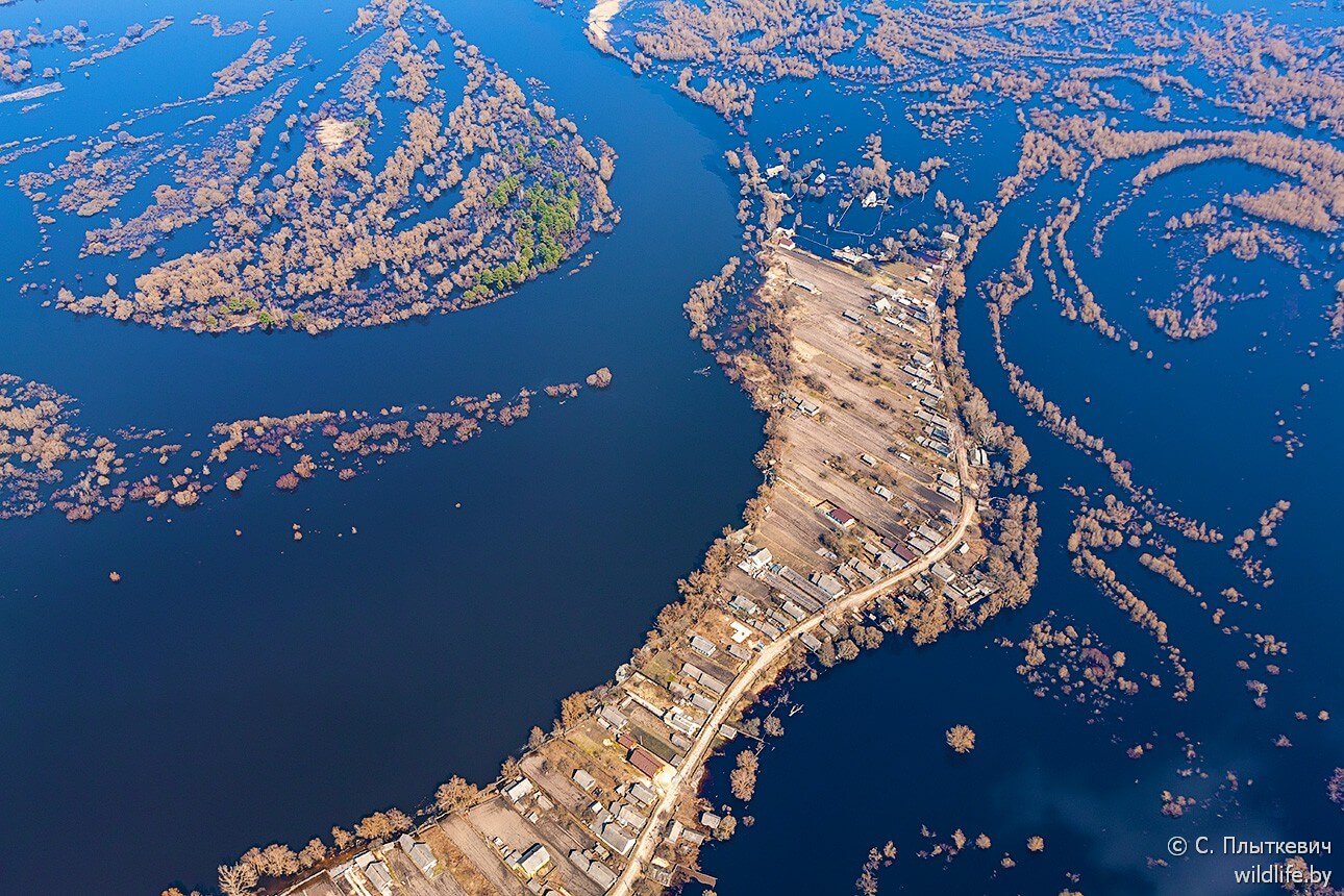 Белорусская «Амазония» удивила иностранцев заграница,путешествие,туризм