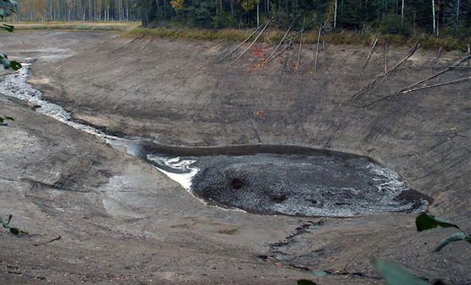 Исчезающее озеро в Вологодской области: раз в несколько лет водоем площадью 8 километров полностью уходит под землю Культура