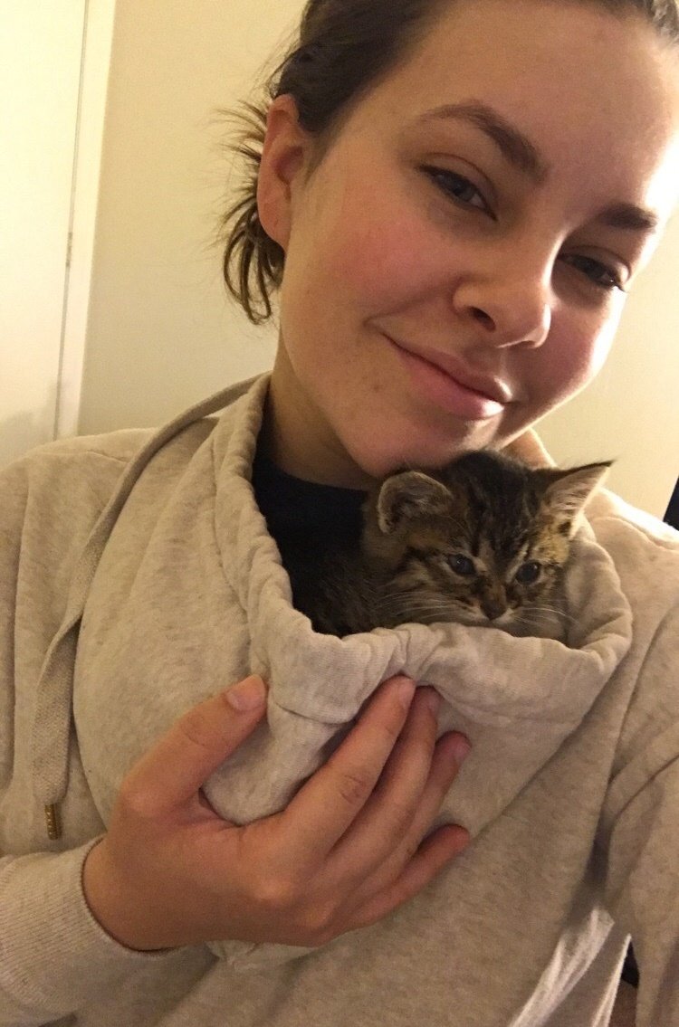 Без кота и жизнь не та