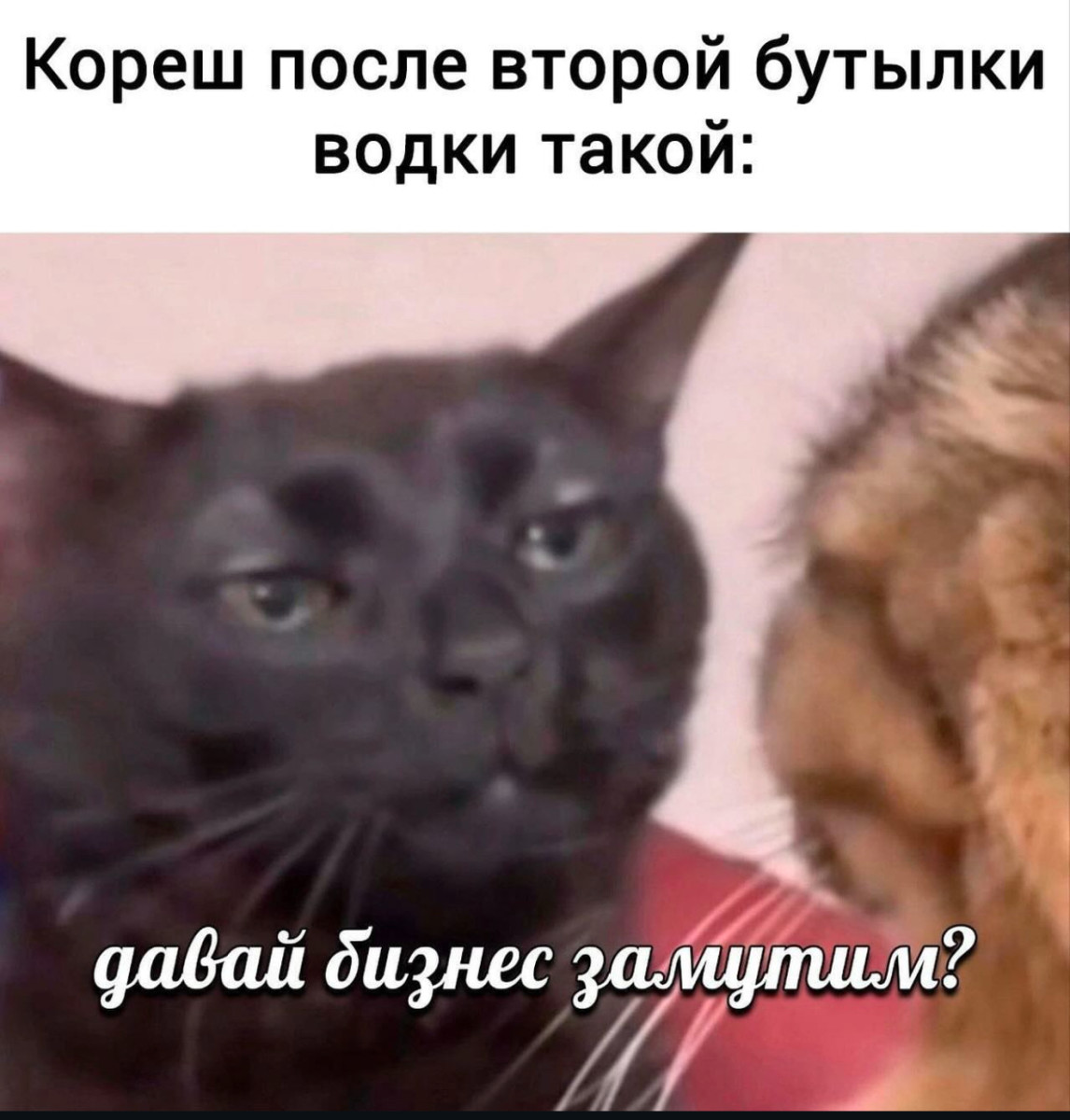 Если кого-то боги хотят наказать, то дают тому серьёзности больше, чем ума Если кого-то боги хотят наказать, то дают тому серьёзности больше, чем ума