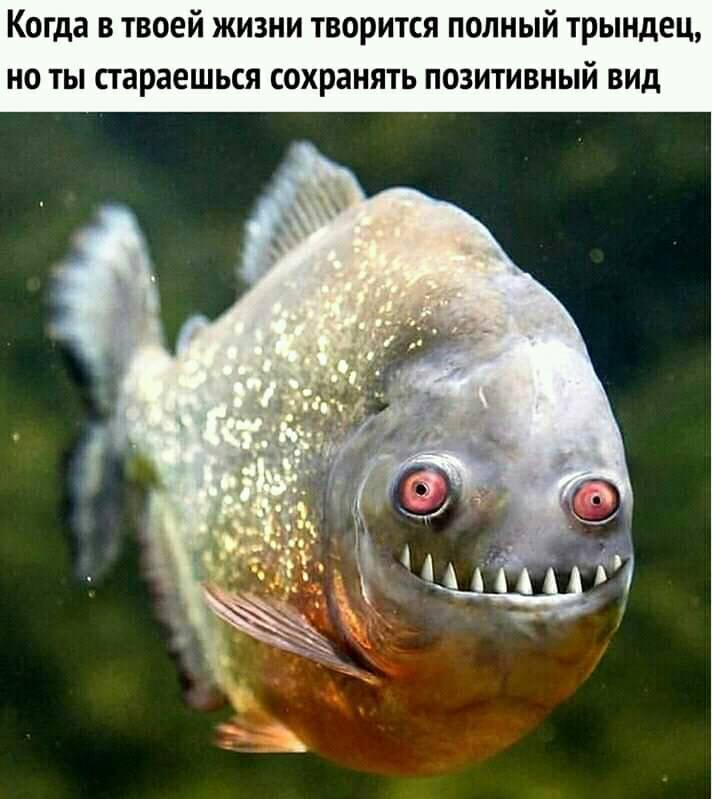 - Папа, у меня проблемы с нашей новой учительницей.... - Папа, у меня проблемы с нашей новой учительницей.... весёлые