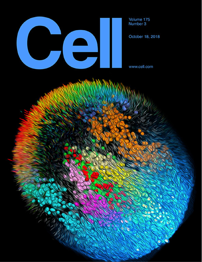 Cell journal. Cell (журнал).