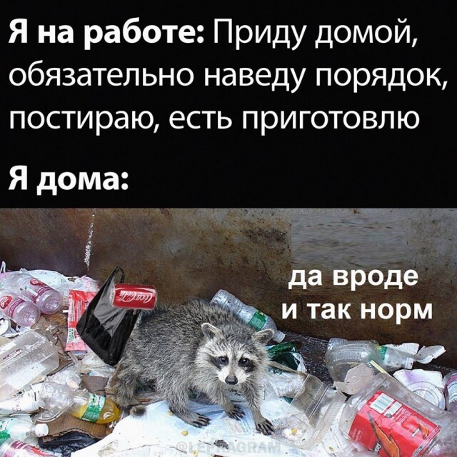 Смешные фотомемы для хорошего настроения Смешные фотомемы для хорошего настроения