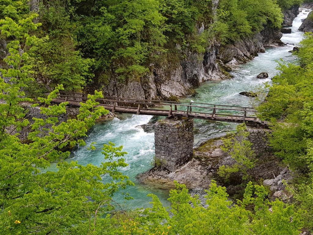 Река Мртвица: каньон, Данилов Мост и сказочный лес