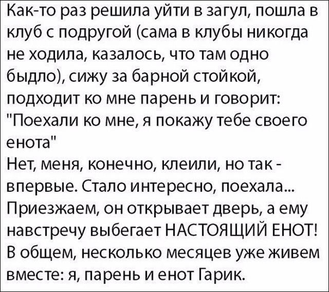 15+ веселых историй, которые стопроцентно подарят вам хорошее настроение 